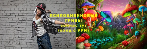 дживик Абаза