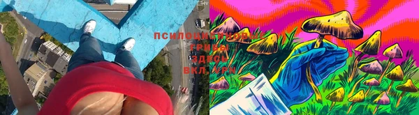 дживик Абаза