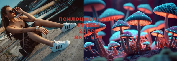 дживик Абаза