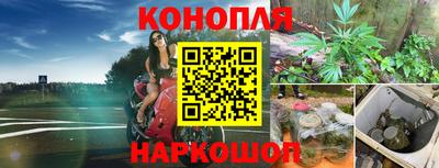 сатива Свободный