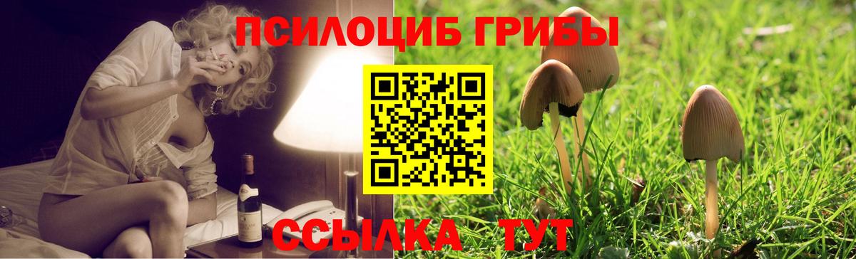Псилоцибиновые грибы MAGIC MUSHROOMS  Вход с VPN  купить наркоту  Серпухов 